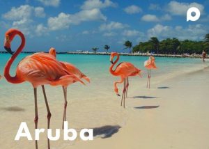 viajar a Aruba - Trappvel